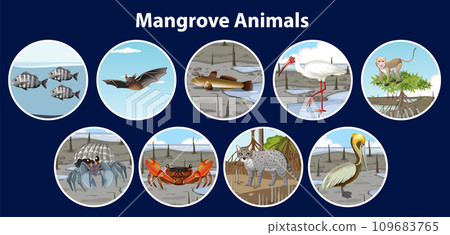 Science Education: Exploring Mangrove Animals in a Circle 109683765