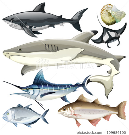 Underwater Creature Vector Set 109684100