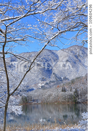 Lake Aoki in early winter 109684296