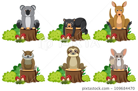 Animals Sitting on Tree Stump with Bush Animals Sitting on Tree Stump with Bush 109684470