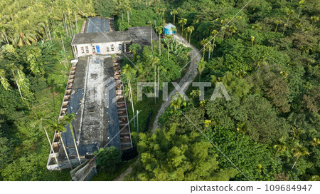 Pig farming in tropical forst Pig farming in tropical forst 109684947