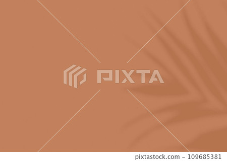 Shadow leaf dypsis on Peach Fuzz color wall. Peach Fuzz color of the year 2024. Monochrome background. Shadow leaf dypsis on Peach Fuzz color wall. Peach Fuzz color of the year 2024. Monochrome background. 109685381