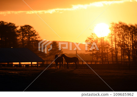 日出牧場 日出牧場 109685962