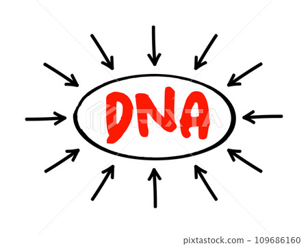 DNA Deoxyribonucleic Acid - hereditary material in humans and almost all other organisms, acronym text concept with arrows 109686160