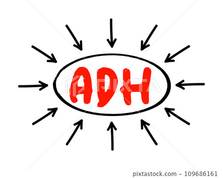 ADH Antidiuretic Hormone - nonapeptide synthesized in the hypothalamus, acronym text concept with arrows 109686161