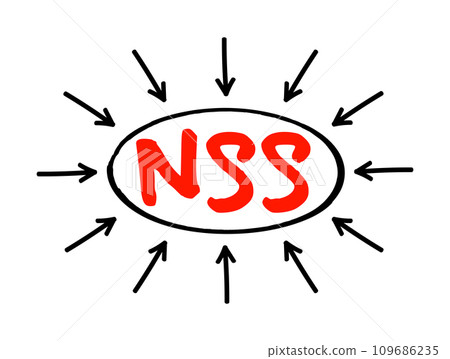 NSS - Network Security Services acronym text with arrows, technology concept background NSS - Network Security Services acronym text with arrows, technology concept background 109686235
