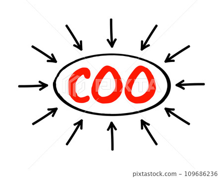 COO Chief Operating Officer - one of the highest-ranking executive positions in an organization, acronym text concept with arrows COO Chief Operating Officer - one of the highest-ranking executive positions in an organization, acronym text concept with arrows 109686236