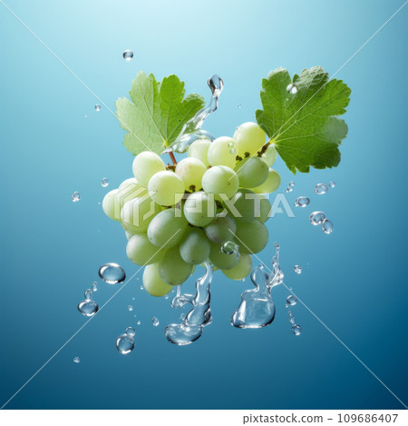 Fresh green grape cluster with green leaves, with water splash on blue background Fresh green grape cluster with green leaves, with water splash on blue background 109686407