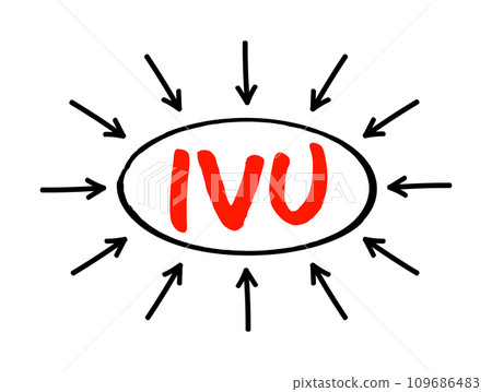 IVU intravenous urography - X-ray exam of your urinary tract, acronym text concept with arrows 109686483