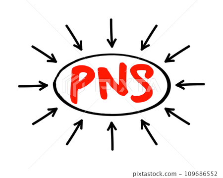 PNS Peripheral Nervous System - responsible for relaying information between your body and brain, acronym text concept with arrows PNS Peripheral Nervous System - responsible for relaying information between your body and brain, acronym text concept with arrows 109686552