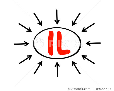 IL Interleukin - group of cytokines that were first seen to be expressed by white blood cells, acronym text concept with arrows 109686587