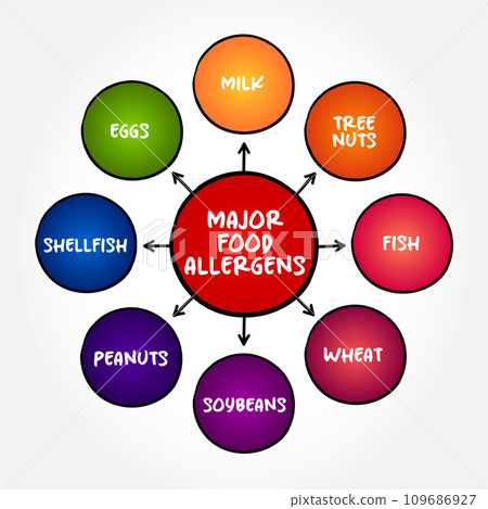 Major Food Allergens (reaction that occurs soon after eating a certain food) mind map text concept background Major Food Allergens (reaction that occurs soon after eating a certain food) mind map text concept background 109686927
