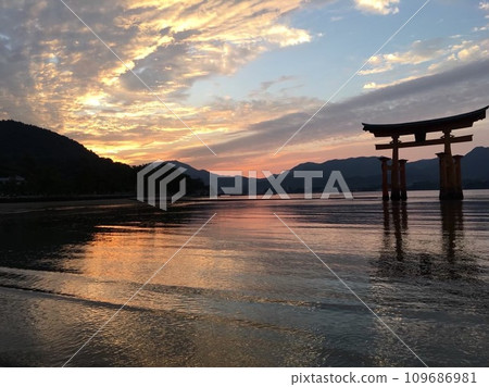 嚴島神社黃昏時分 嚴島神社黃昏時分 109686981
