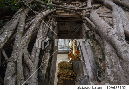 THAILAND AMPHAWA WAT BANG KUNG THAILAND AMPHAWA WAT BANG KUNG 109688162