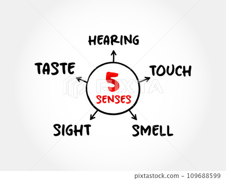 Five basic human senses: touch, sight, hearing, smell and taste,  mind map concept for presentations and reports 109688599