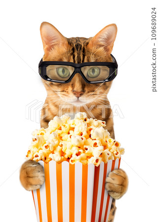 Funny Bengal cat in 3D stereo glasses eats popcorn in the cinema 109689024