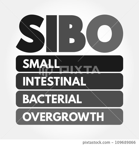 SIBO - Small Intestinal Bacterial Overgrowth is an imbalance of the microorganisms in your gut that maintain healthy digestion, acronym concept background 109689866
