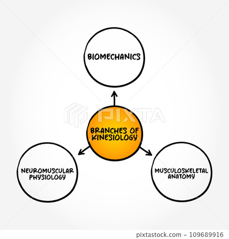 Branches of Kinesiology (the study of movement) mind map concept background Branches of Kinesiology (the study of movement) mind map concept background 109689916
