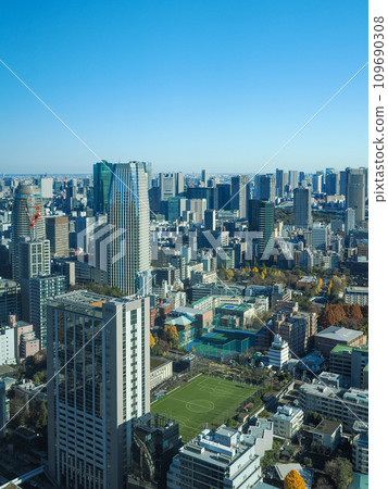 Tokyo, Minato Ward, urban landscape Tokyo, Minato Ward, urban landscape 109690308