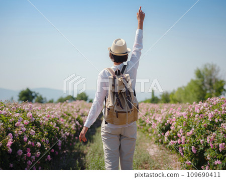 woman enjoying the aroma in Field of Damascena roses in sunny summer day . Rose petals harvest for rose oil perfume production. village Guneykent in Isparta region, Turkey a real paradise for eco woman enjoying the aroma in Field of Damascena roses in sunny summer day . Rose petals harvest for rose oil perfume production. village Guneykent in Isparta region, Turkey a real paradise for eco 109690411