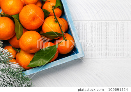 Festive citrus joy Festive citrus joy 109691324