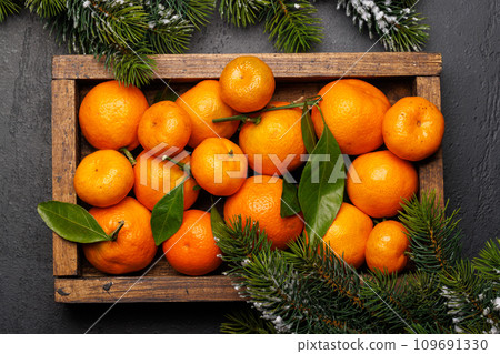 Festive citrus joy Festive citrus joy 109691330