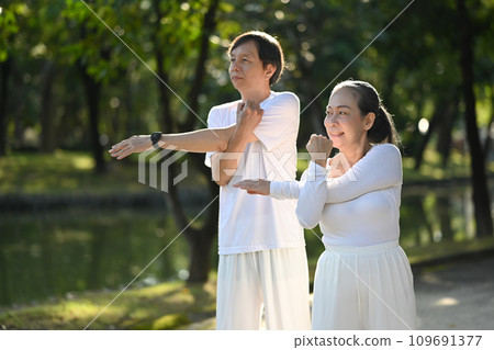 Happy retired couple in white clothes stretching in public park. Health care and wellbeing concept Happy retired couple in white clothes stretching in public park. Health care and wellbeing concept 109691377