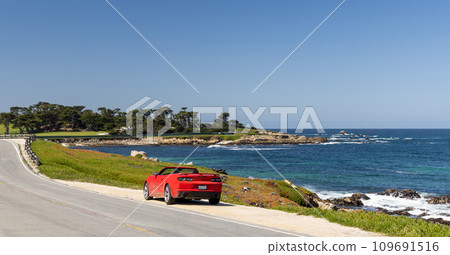 Coastal landscape in California 109691516
