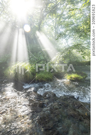 閃耀著光芒的森林中的溪流（木澤溪） 109691623