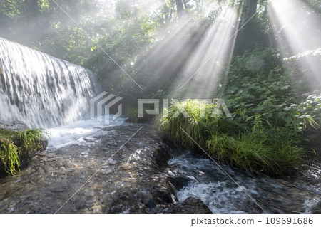 Light beam (Kiyasawa stream) Light beam (Kiyasawa stream) 109691686