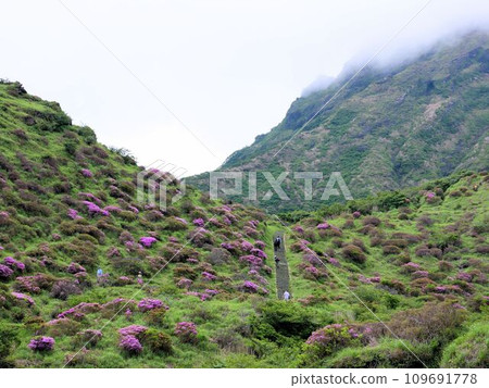 Aso/Sensui Gorge scenery and Japanese aquarium (Kumamoto Prefecture) 109691778