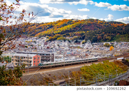 [Kyoto Scenery] A train running through a mountain range dyed with autumn leaves in late autumn 109692262