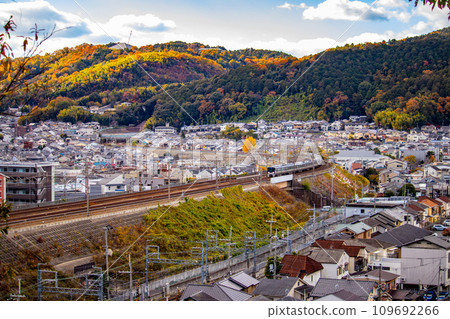 【京都風景】深秋的列車穿越染滿秋葉的山脈 109692266