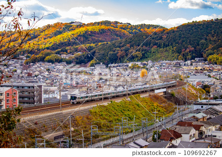 【京都風景】深秋的列車穿越染滿秋葉的山脈 109692267