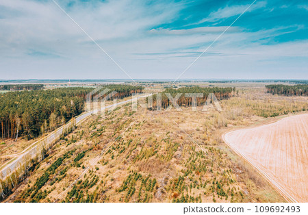 Aerial View Green Pine Forest Deforestation Area Landscape, Agri Aerial View Green Pine Forest Deforestation Area Landscape, Agri 109692493