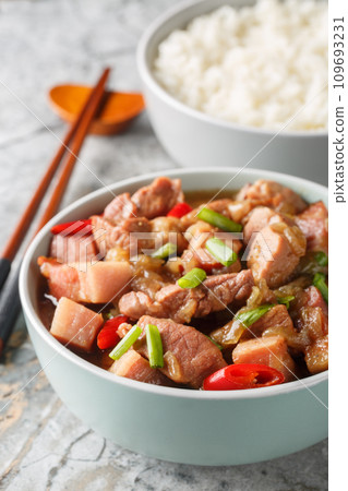 Babi kecap is an Indonesian braised pork with sweet soy sauce kecap manis served with rice closeup. Vertical 109693231