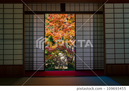 從京都市東山區書院內看到的庭院裡的紅葉 從京都市東山區書院內看到的庭院裡的紅葉 109693455