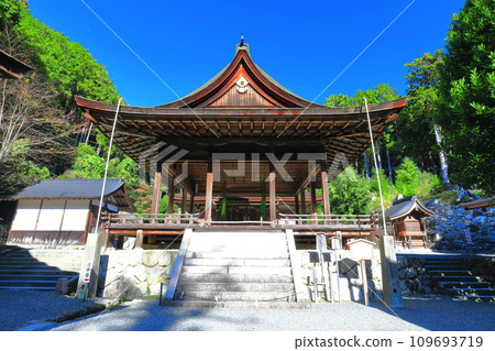 [Shiga Prefecture] Hiyoshi Taisha Shrine (Higashihongu) on a sunny day 109693719