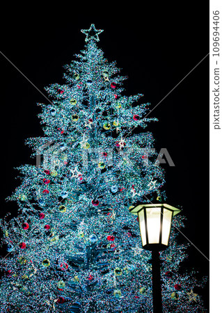 Hakodate Bay Area at Christmas 109694406