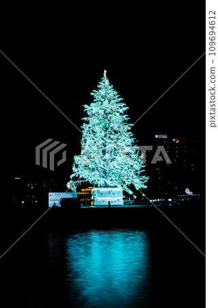 Hokkaido Hakodate Christmas scenery 109694612