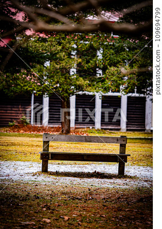 Scenery of Hokkaido University Research Forest in Tomakomai Scenery of Hokkaido University Research Forest in Tomakomai 109694799