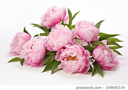 Beautiful bouquet of fresh pink peonies Beautiful bouquet of fresh pink peonies 109695534