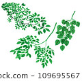 Tree branches set of three 109695567