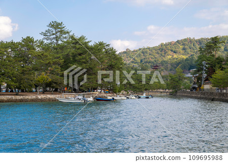 從宮島水族館後街看到的西松原和五層寶塔 109695988