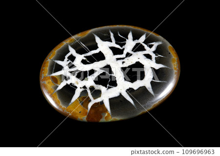 Septarian History of the Earth 109696963