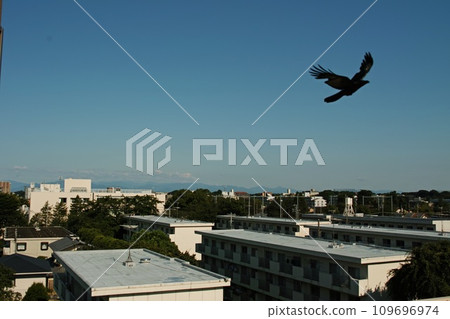 一隻風箏低空飛過城市上空 109696974