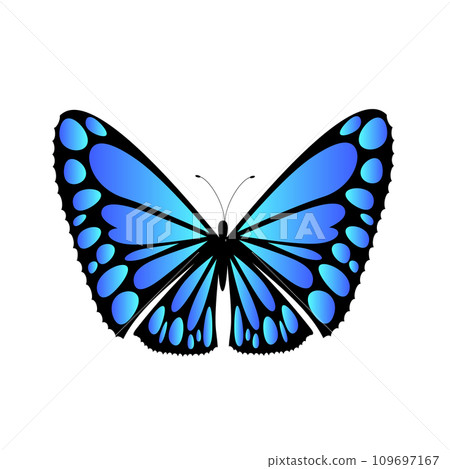 藍色蝴蝶的向量圖 藍色蝴蝶的向量圖 109697167