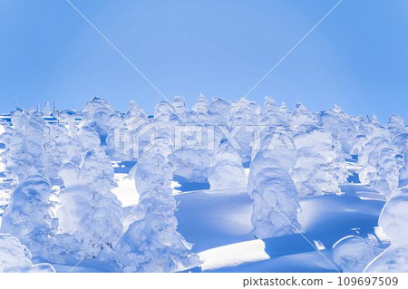 冬季藍天與藏王霜雪怪 山形縣山形市 冬季藍天與藏王霜雪怪 山形縣山形市 109697509