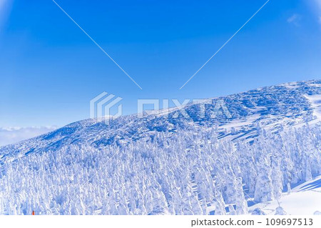 冬季藍天與藏王霜雪怪 山形縣山形市 109697513