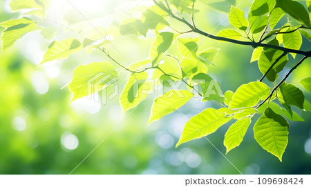 Sunbeams Sunbeams 109698424